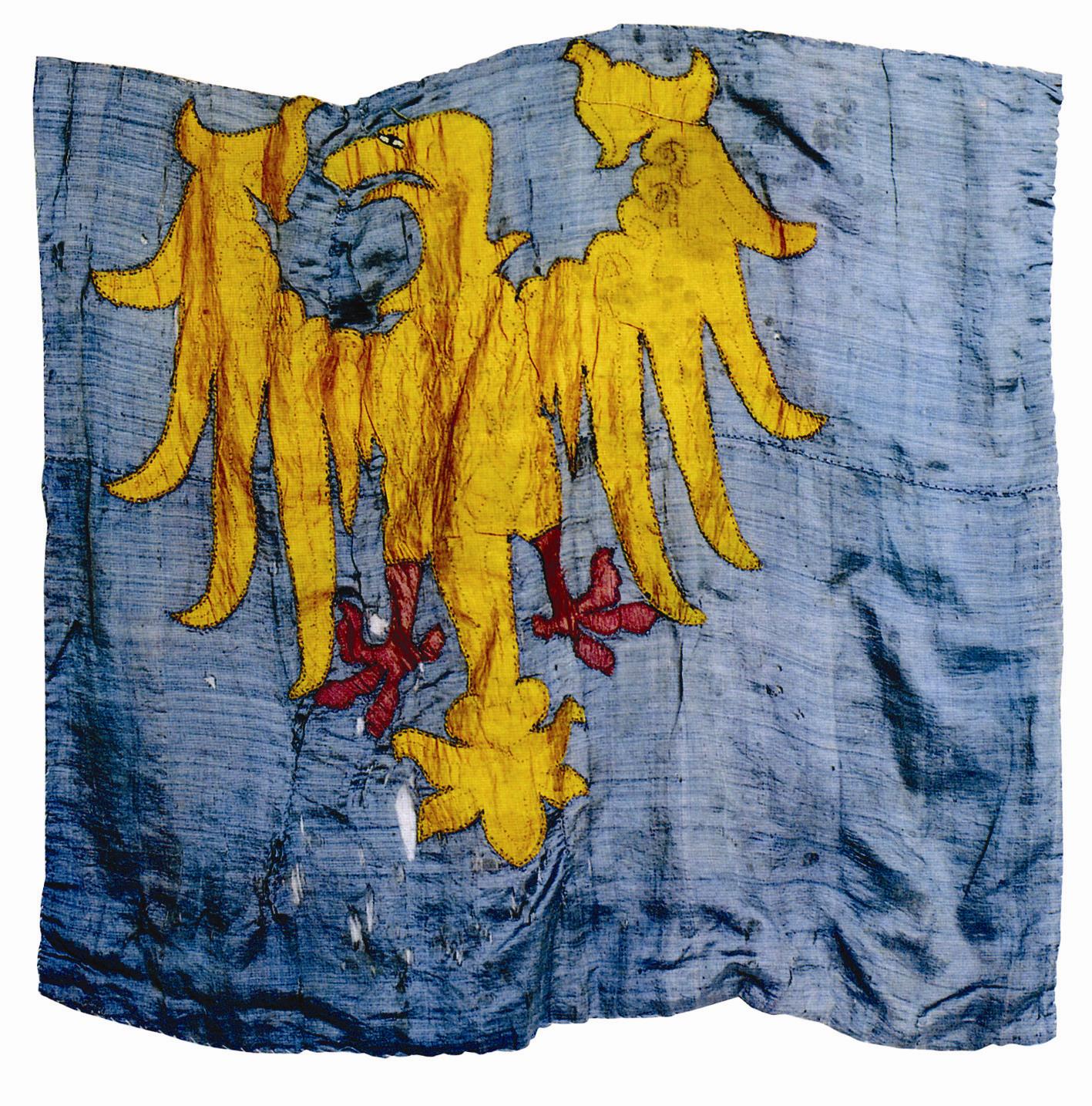 La bandiera del Friuli (bandiere dal Fril in friulano)  la bandiera della regione storica del Friuli, ufficialmente riconosciuta dalla legge che tutela le minoranze linguistiche,  esposta nei comuni e nelle provincie friulanofone. Al centro di essa campeggia un'aquila gialla rivolta verso destra con le ali aperte, su uno sfondo blu.